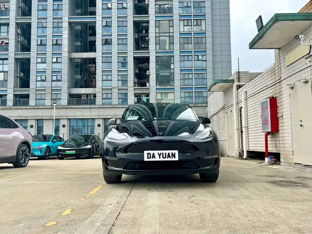 Tesla Model Y — фото 8