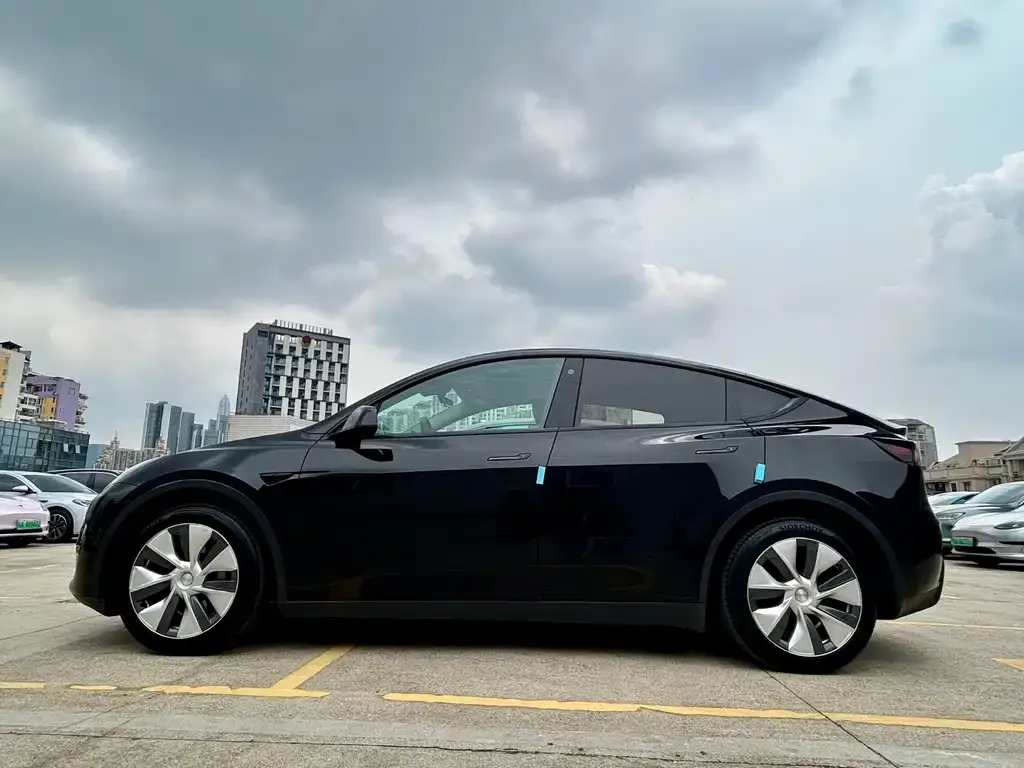 Tesla Model Y — фото 2