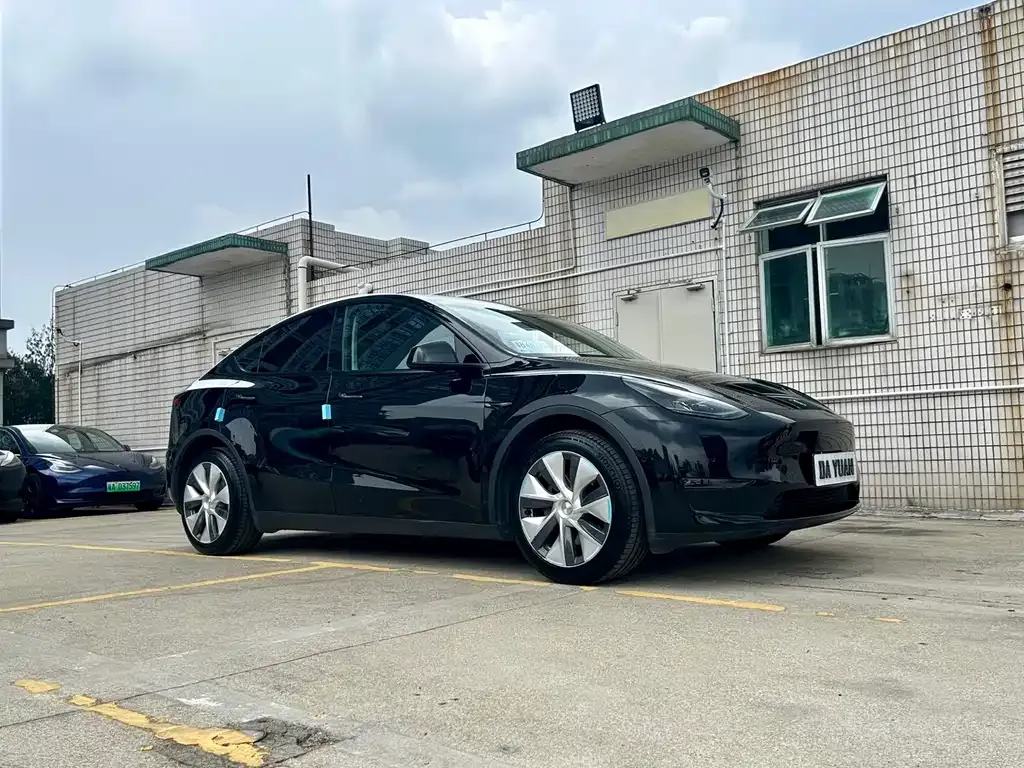 Tesla Model Y — фото 6
