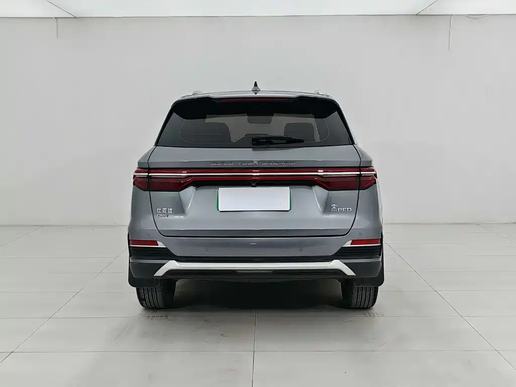 BYD Pro New Energy — фото 4