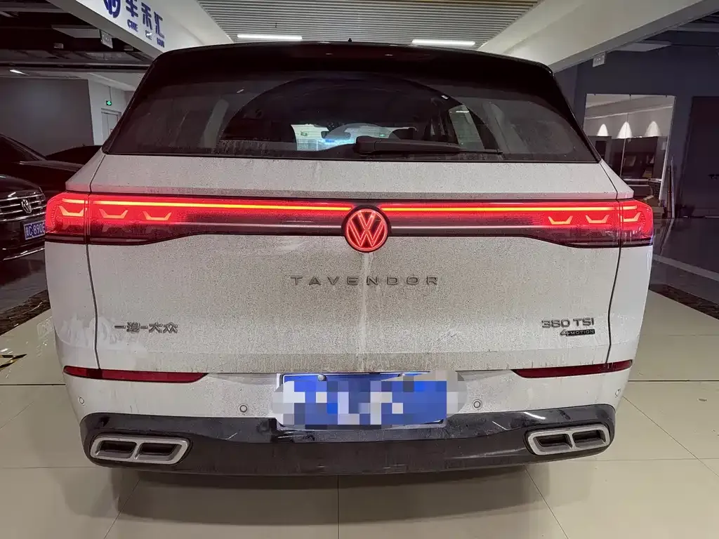 Volkswagen Tavendor 2023 из CN, фото 10