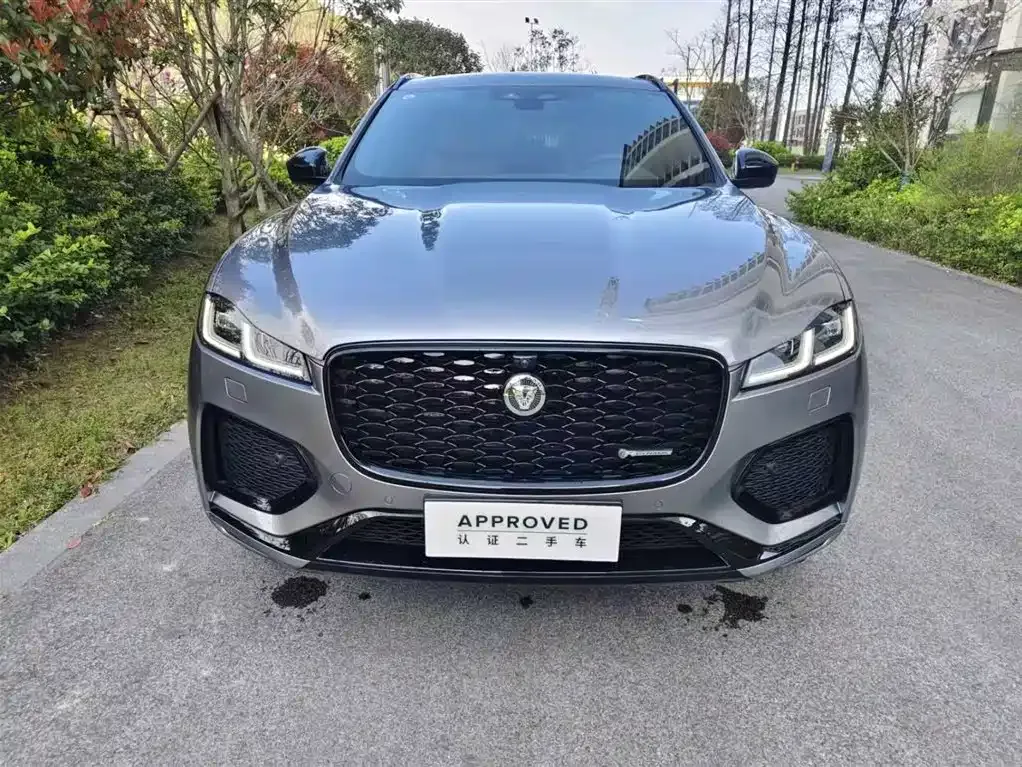 Jaguar F-PACE — фото 10