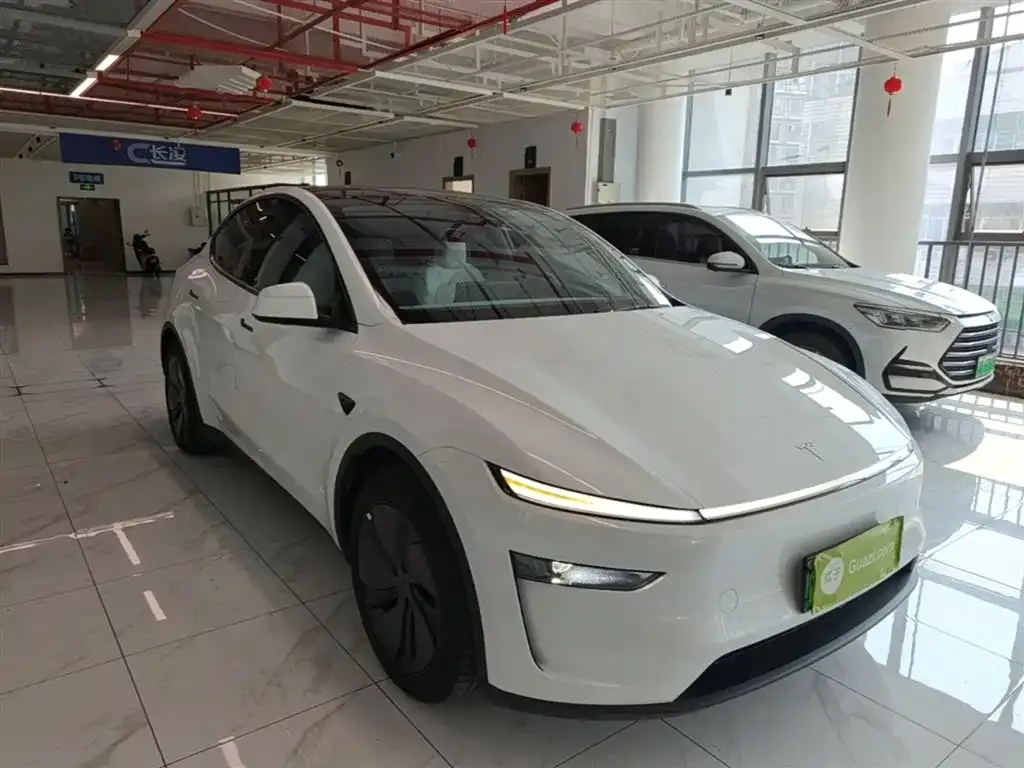 Tesla Model Y — фото 5