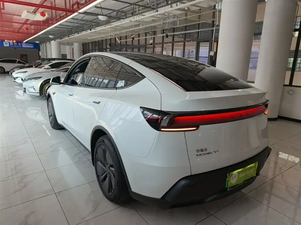 Tesla Model Y — фото 10