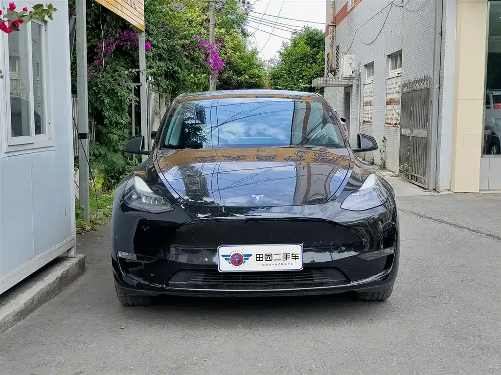 Tesla Model Y 2021 из CN, фото 9