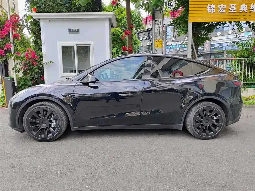 Tesla Model Y 2021 из CN, фото 8