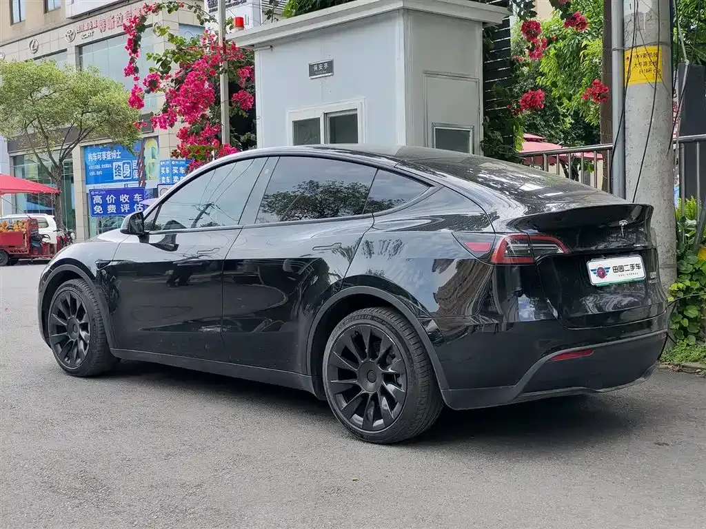 Tesla Model Y 2021 из CN, фото 6