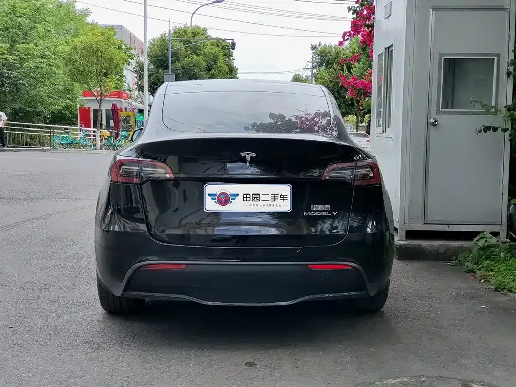 Tesla Model Y 2021 из CN, фото 4