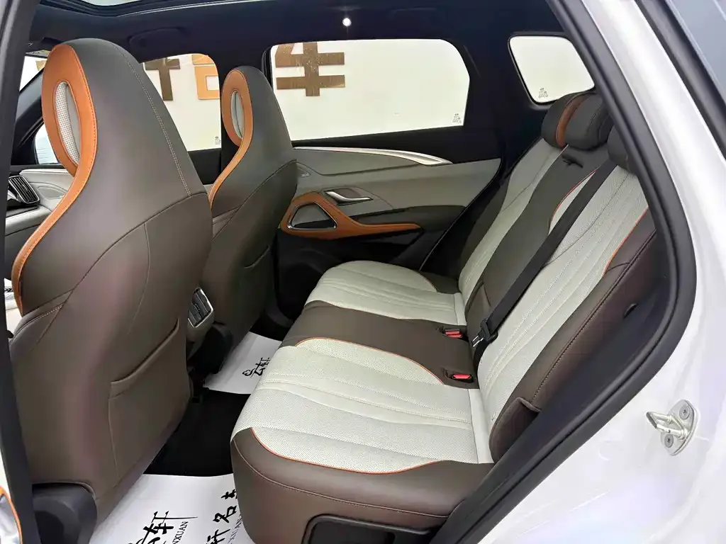 BYD Pro New Energy 2023 из CN, фото 10