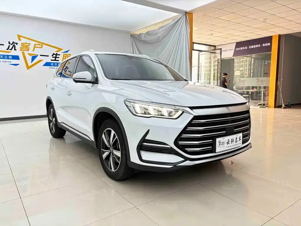 BYD Pro New Energy 2023 из CN, фото 2