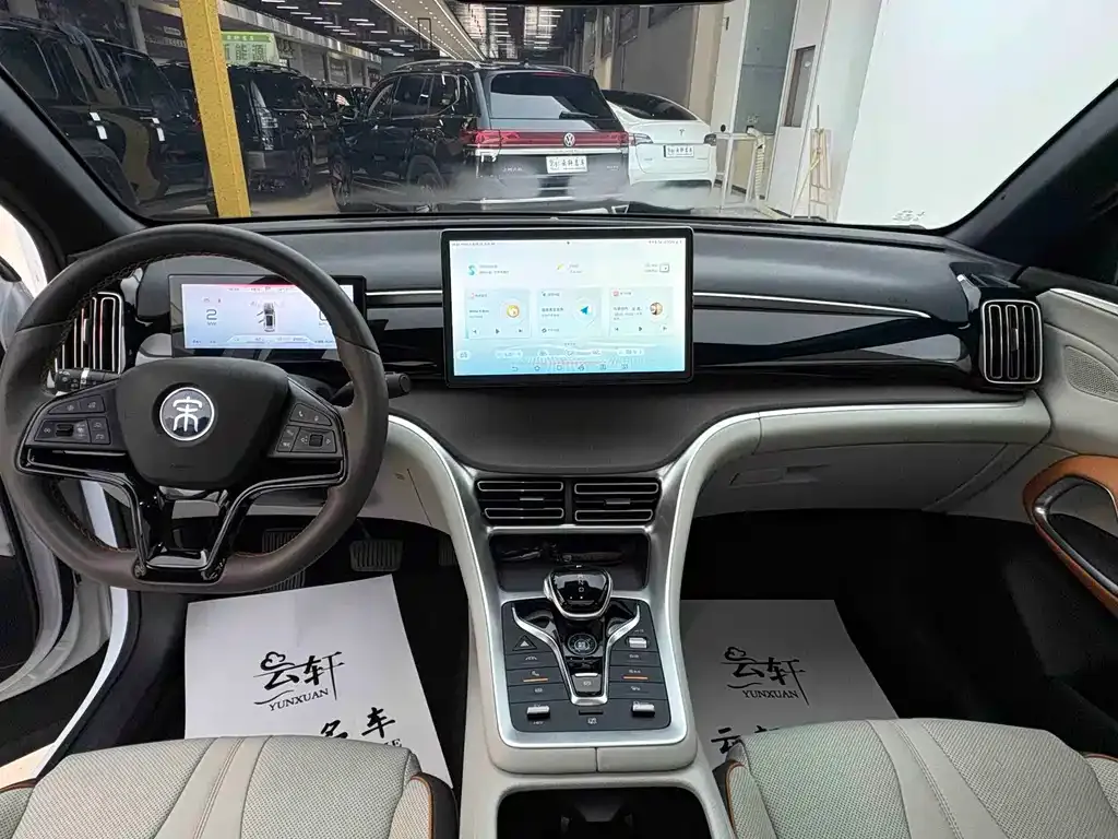 BYD Pro New Energy 2023 из CN, фото 4