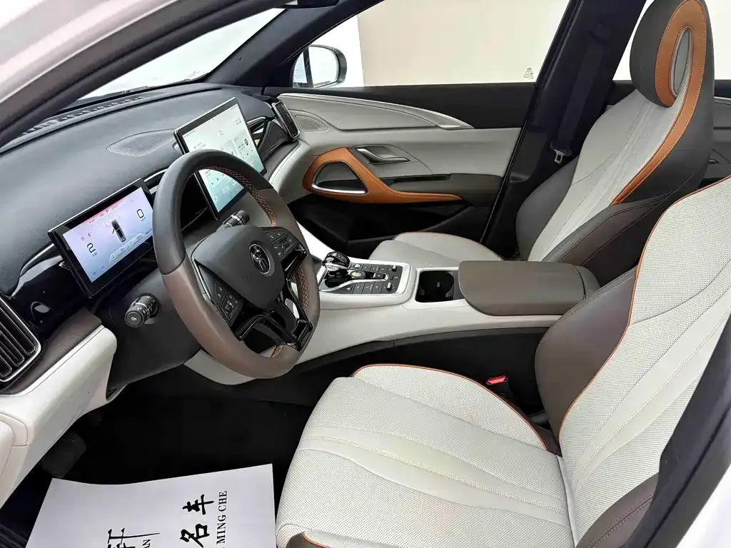 BYD Pro New Energy 2023 из CN, фото 5