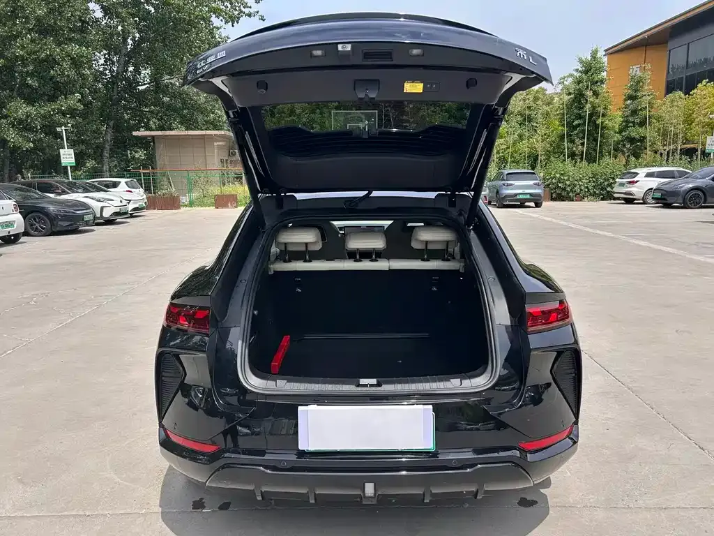 BYD L EV 2024 из CN, фото 7