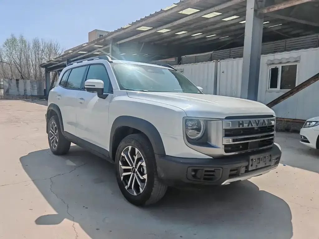 Haval Big Dog 2024 из CN, фото 4