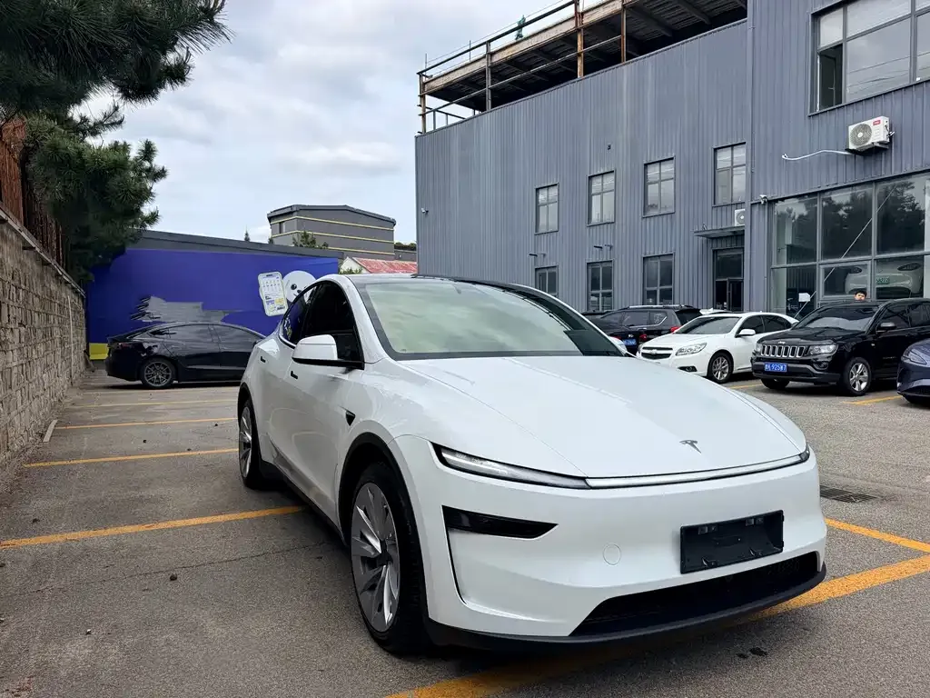 Tesla Model Y — фото 2