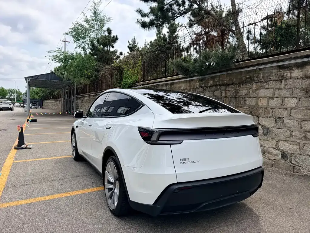 Tesla Model Y — фото 8
