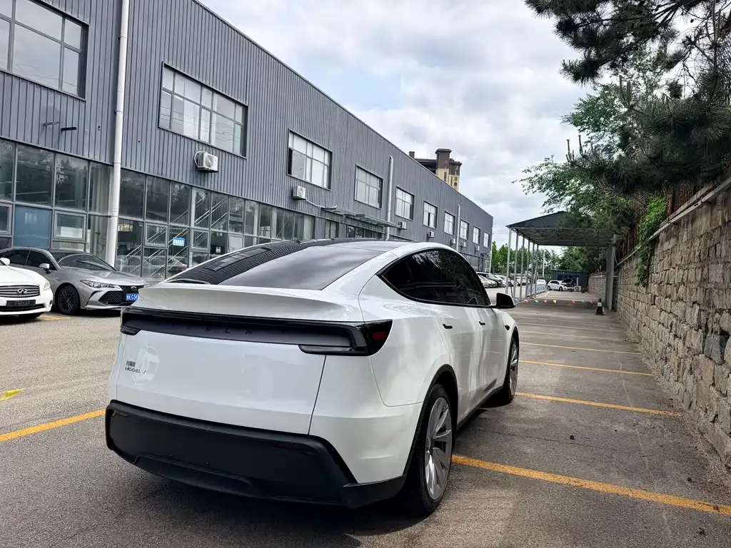 Tesla Model Y — фото 5
