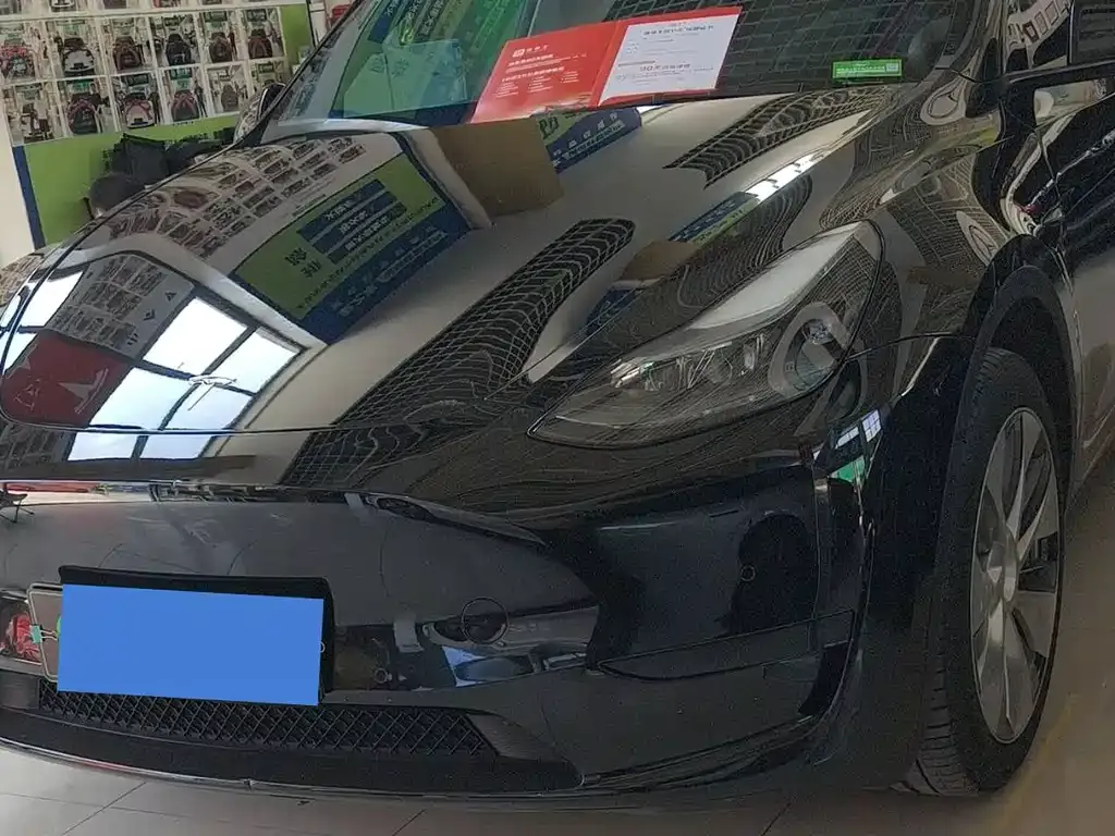 Tesla Model Y — фото 1