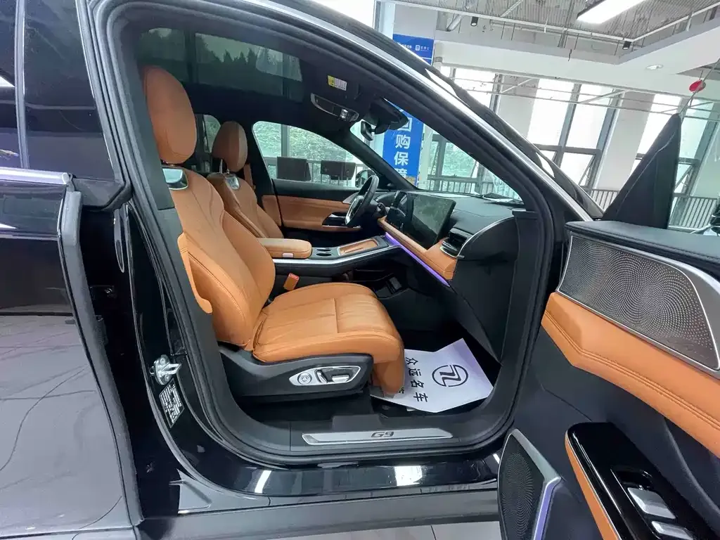 XPeng G9 2024 из CN, фото 6