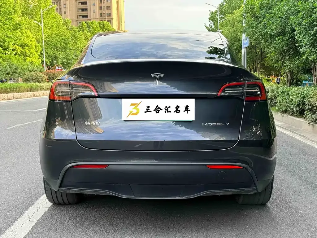 Tesla Model Y — фото 9