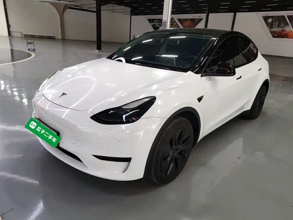 Tesla Model Y — фото 10