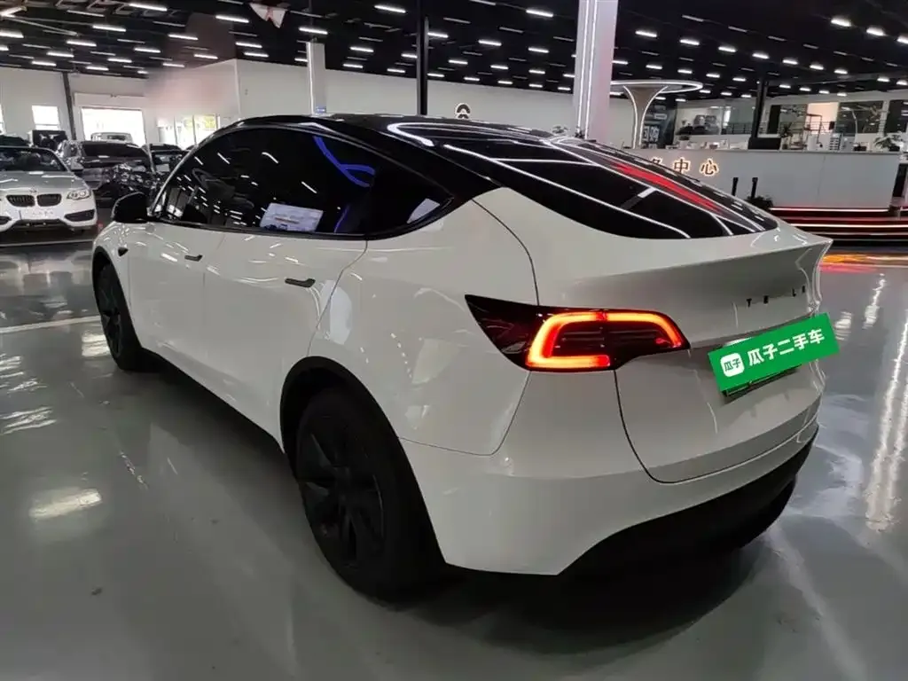 Tesla Model Y — фото 9