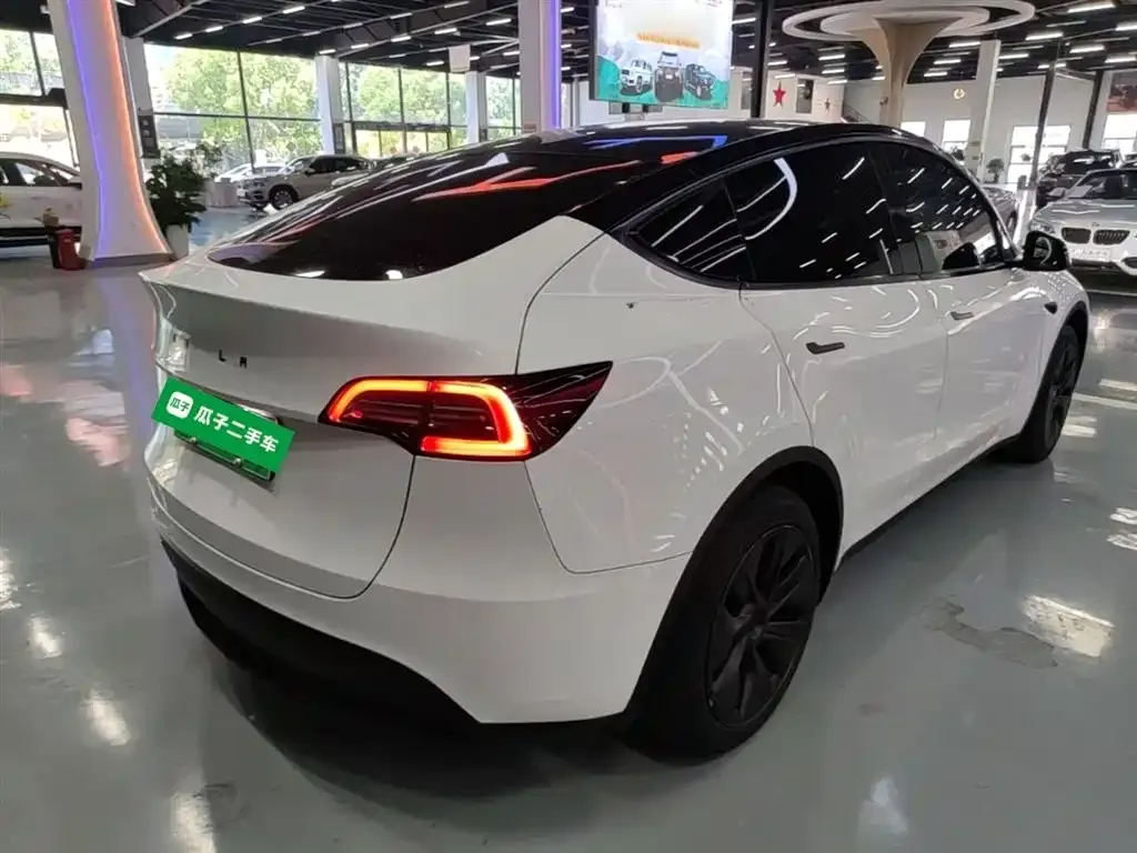 Tesla Model Y — фото 7