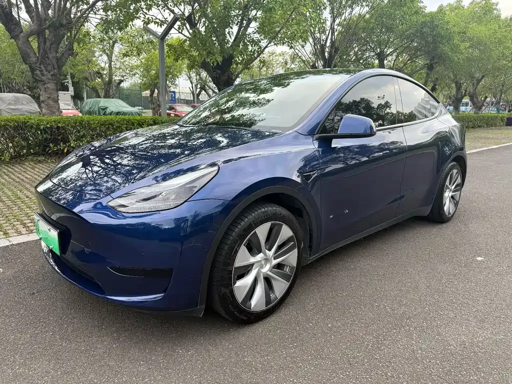 Tesla Model Y — фото 1