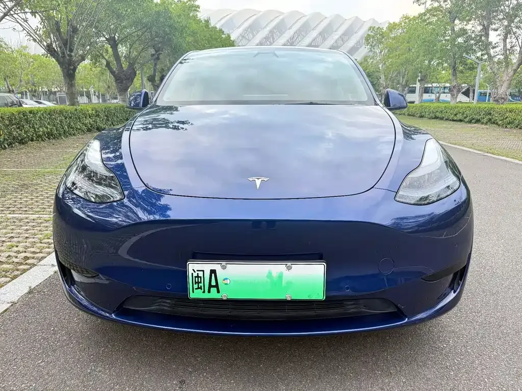 Tesla Model Y — фото 9