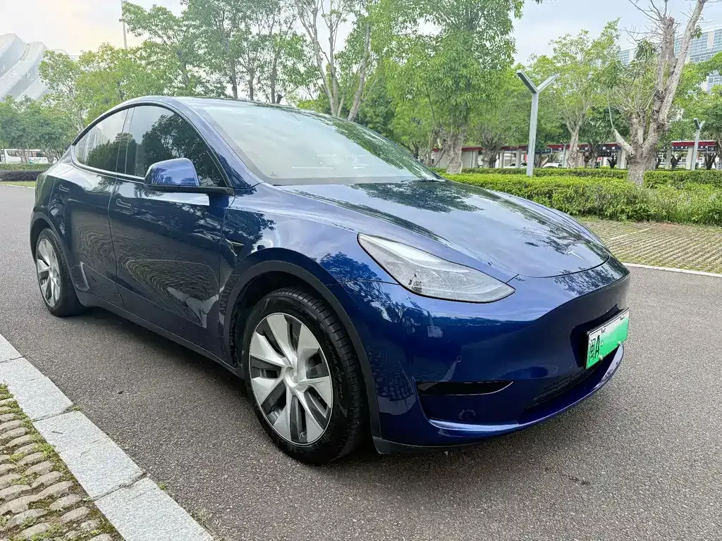 Tesla Model Y — фото 7