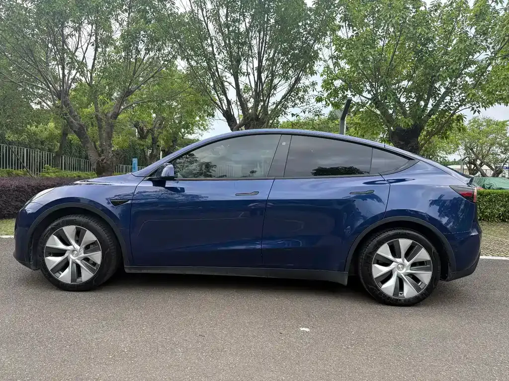 Tesla Model Y — фото 8
