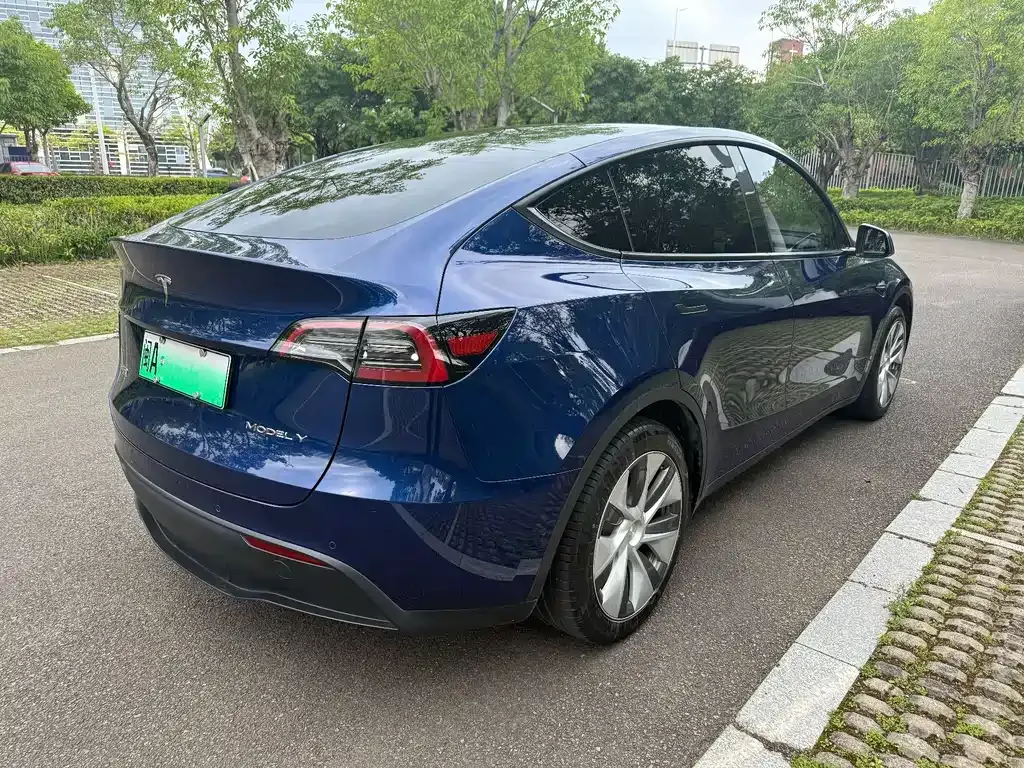 Tesla Model Y — фото 5