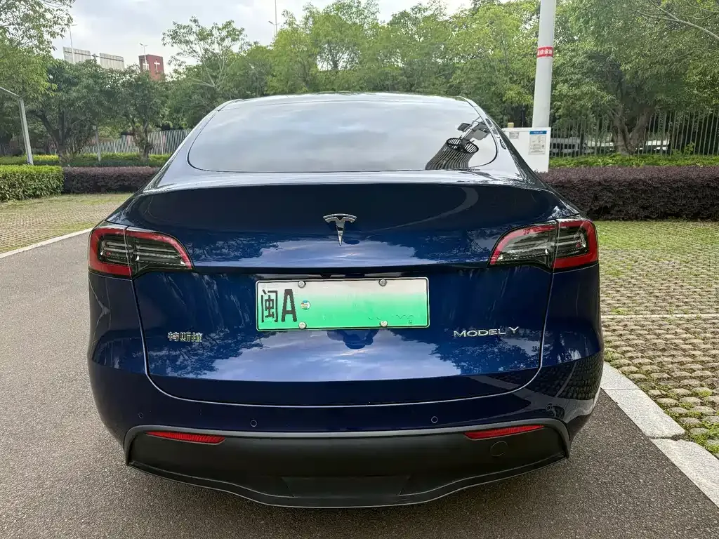 Tesla Model Y — фото 10