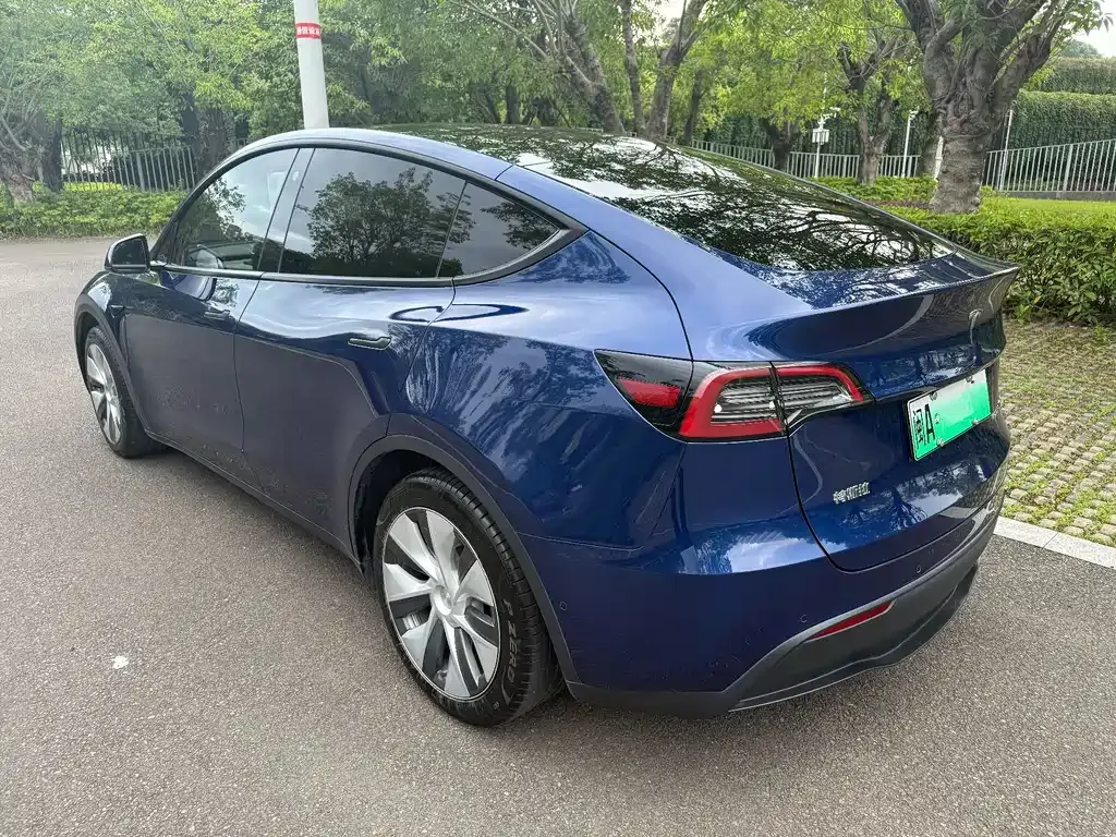 Tesla Model Y — фото 6