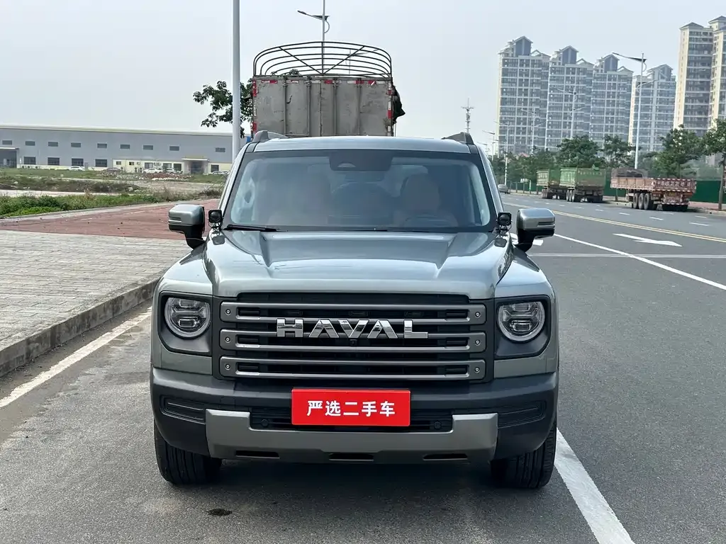 Haval Menglong New Energy 2024 из CN, фото 7