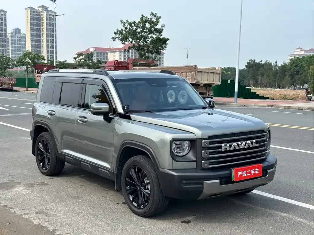 Haval Menglong New Energy 2024 из CN, фото 2