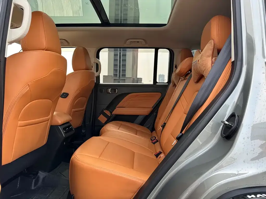 Haval Menglong New Energy 2024 из CN, фото 4