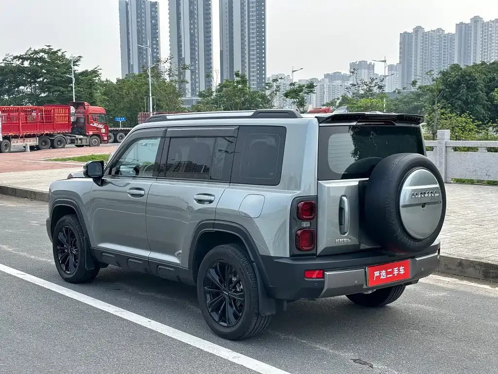 Haval Menglong New Energy 2024 из CN, фото 5