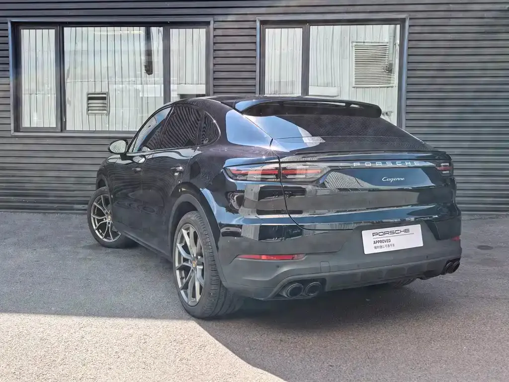 Porsche Cayenne — фото 10