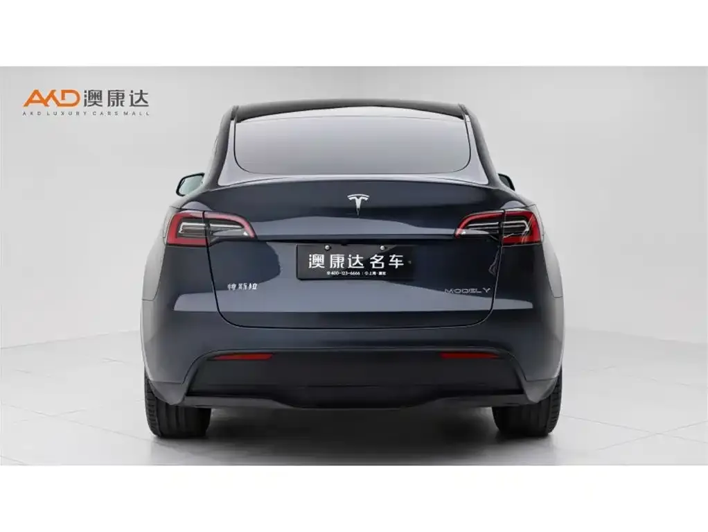 Tesla Model Y — фото 3