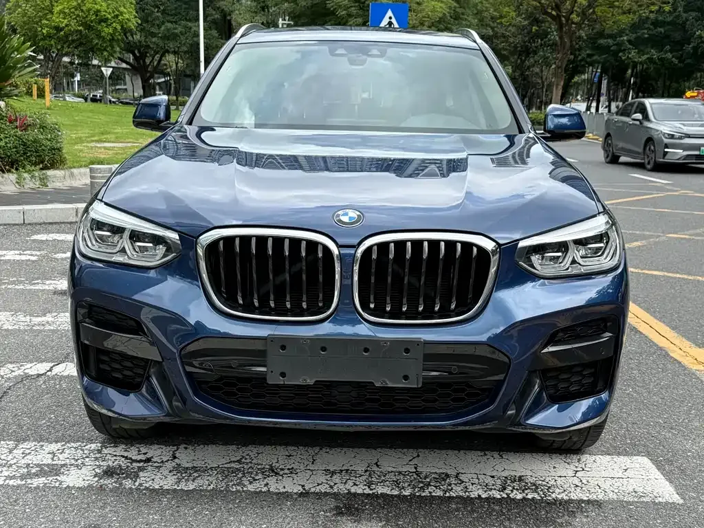 BMW X3 — фото 9