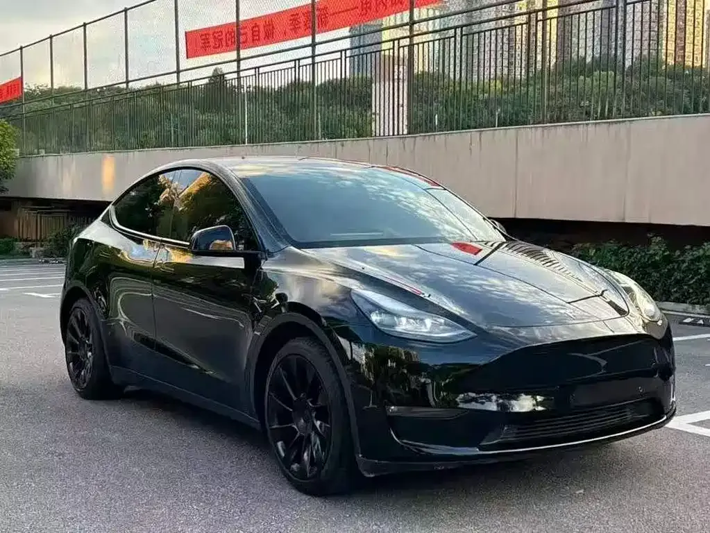 Tesla Model Y — фото 1