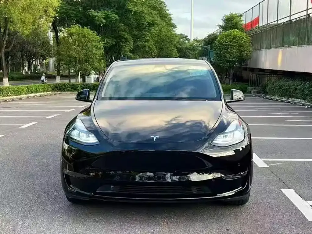 Tesla Model Y — фото 8