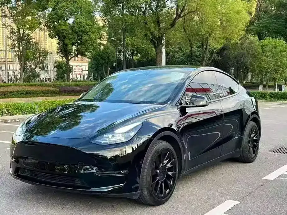 Tesla Model Y — фото 2
