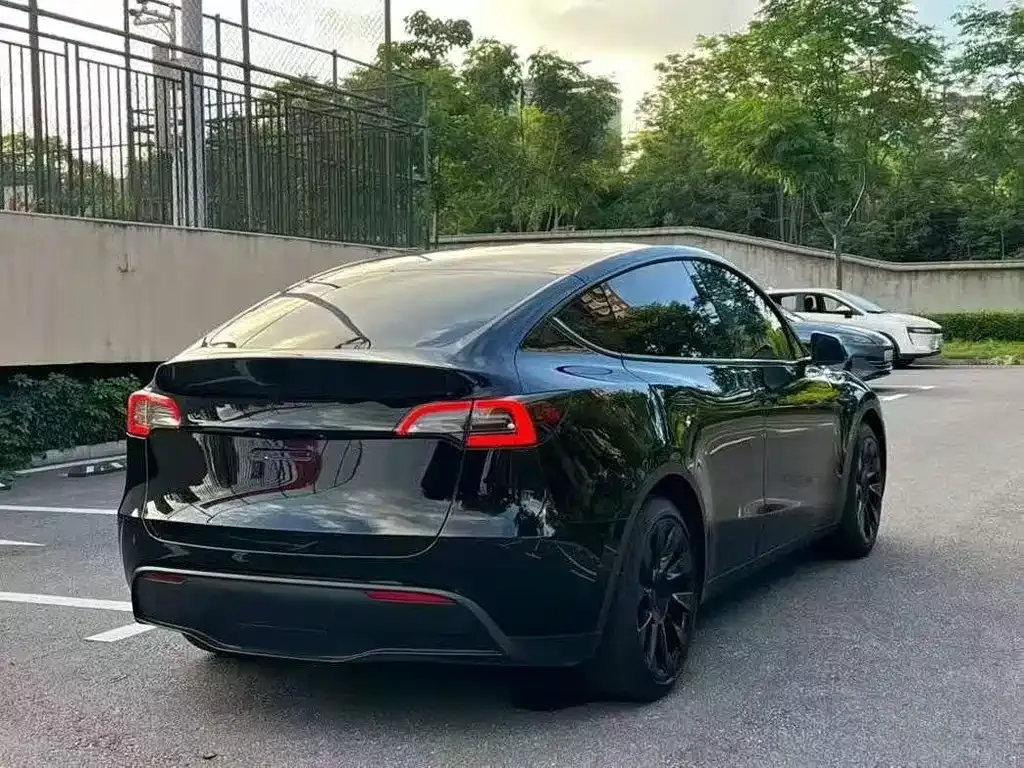 Tesla Model Y — фото 7