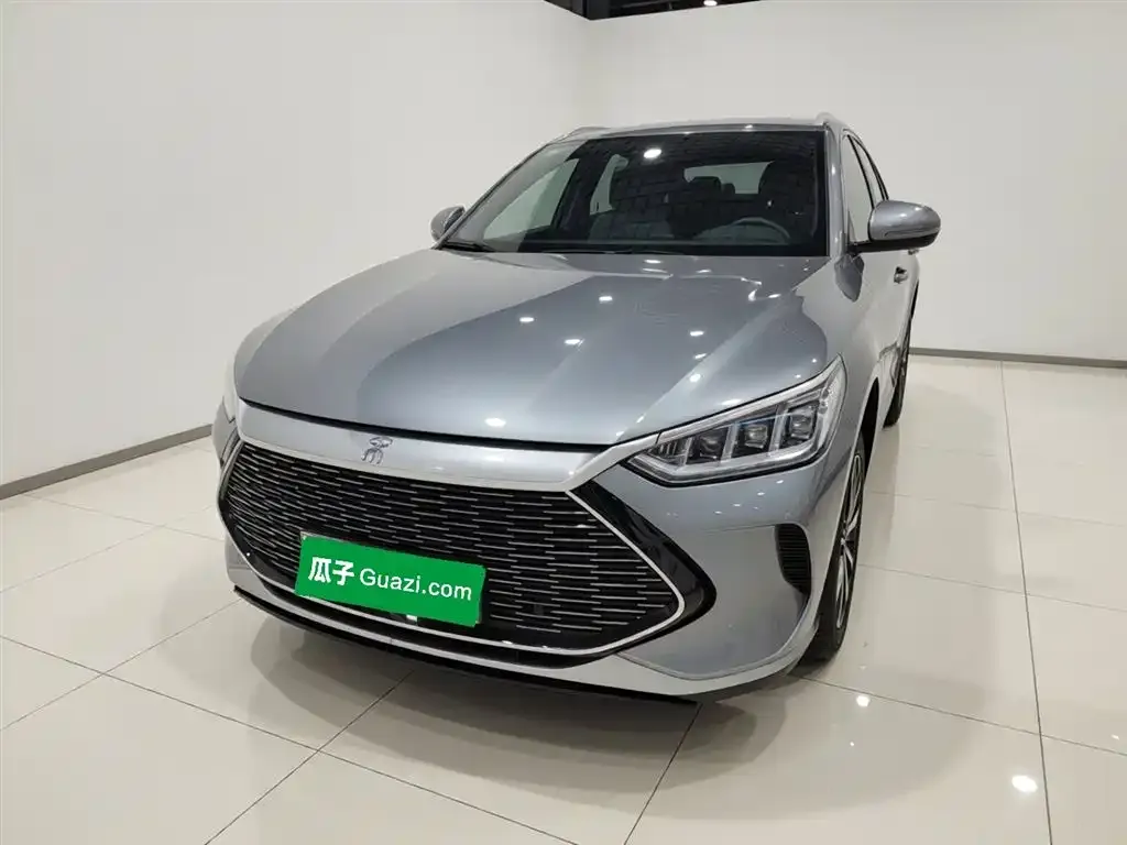 BYD PLUS New Energy — фото 1