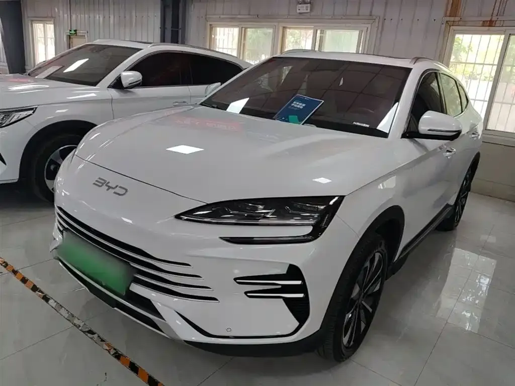 BYD PLUS New Energy — фото 9
