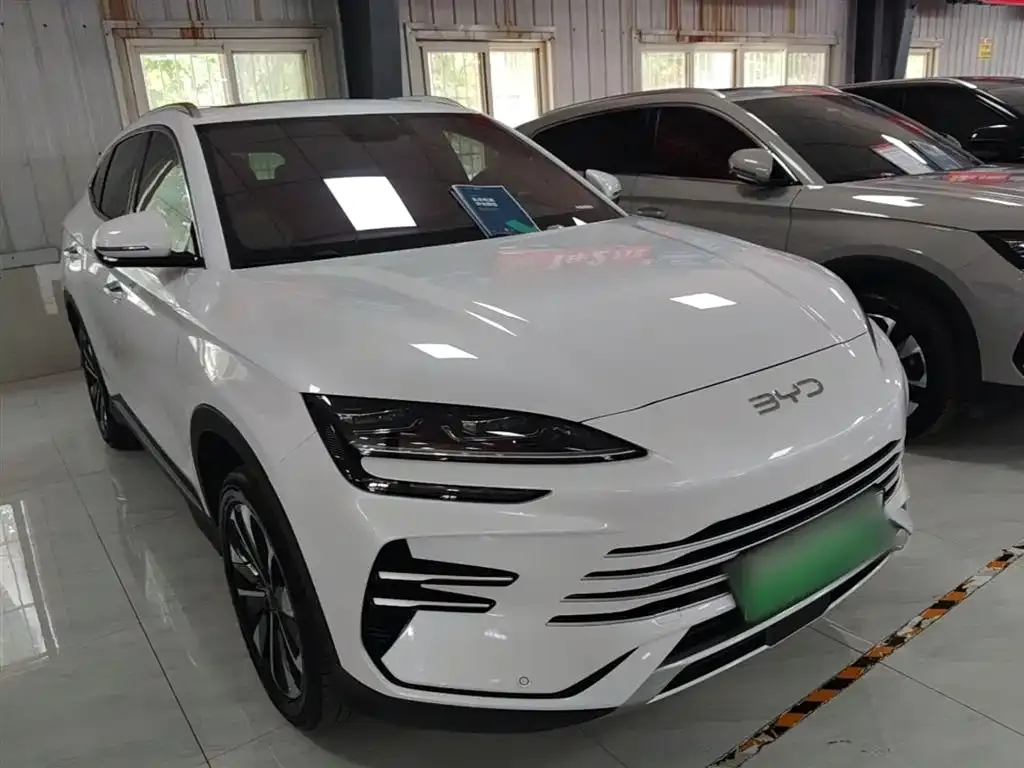 BYD PLUS New Energy — фото 5