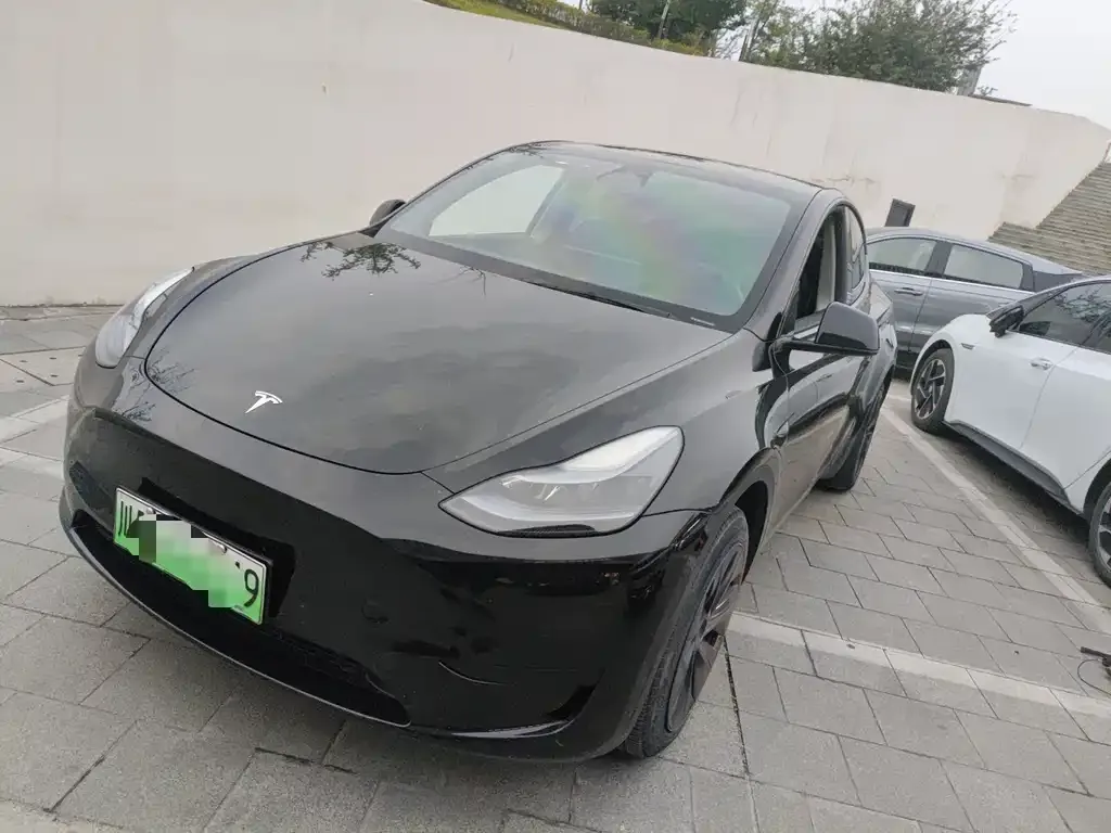 Tesla Model Y — фото 1