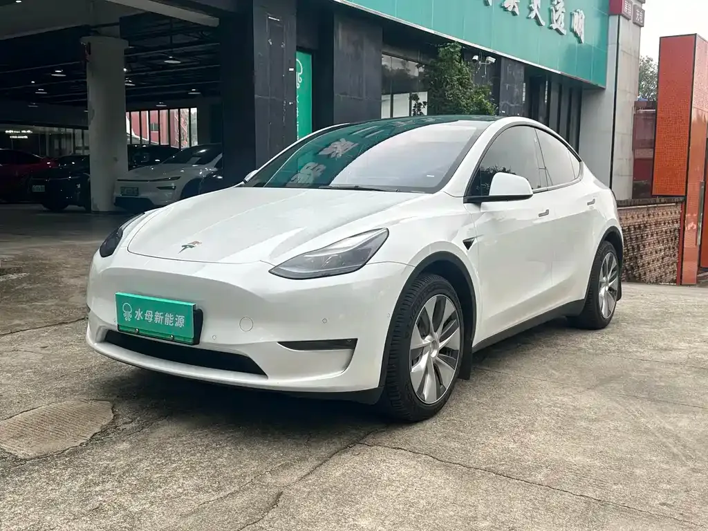 Tesla Model Y — фото 1